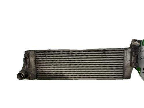 Intercooler RENAULT SCÉNIC II (JM0/1_) 1.5 dCi (JM02, JM13) (101 hp) 29777093