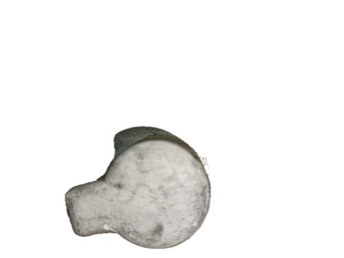 Lampeholder VW PASSAT B5 (3B2) 1.9 TDI | BP29779207L10