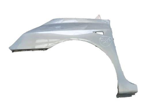 Used Left front fenders RENAULT ESPACE IV (JK0/1_) 1.9 dCi (JK0U, JK0G) (120 hp) 29779619