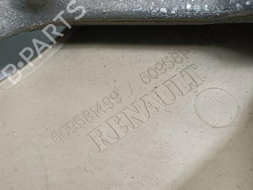 Steering wheel RENAULT MEGANE III Hatchback (BZ0/1_, B3_) 2.0 dCi | BP29779707C49