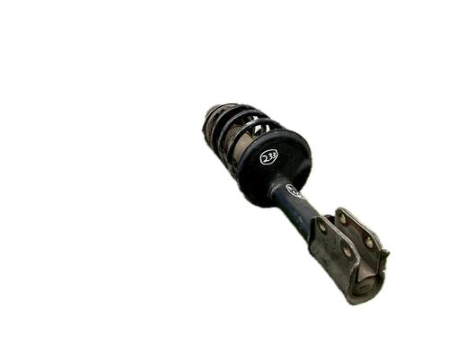 Used Left front shock absorber RENAULT CLIO III (BR0/1, CR0/1) 1.5 dCi (75 hp) 29781081