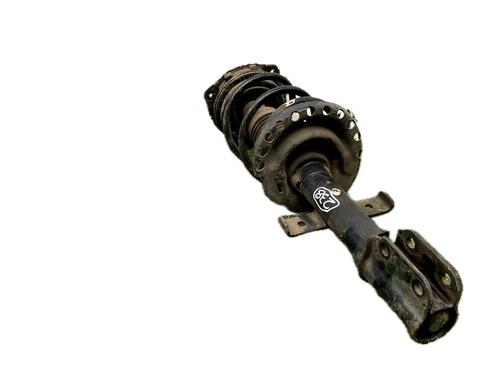 Left front shock absorber RENAULT MODUS / GRAND MODUS (F/JP0_) 1.5 dCi (FP0D, JP0D) | BP29781086M16