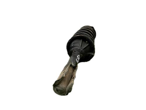 Left front shock absorber TOYOTA YARIS (_P1_) 1.3 (SCP12_, SCP13_, SCP12R, SCP13R) | BP29781263M16 