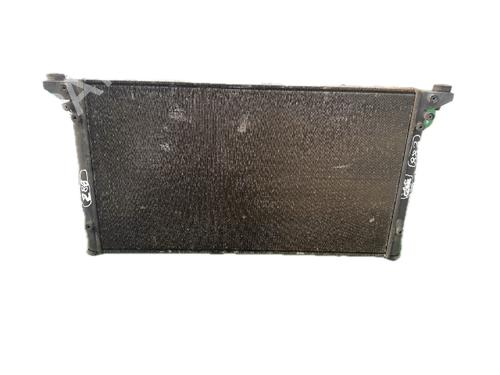 Used Water radiator SEAT ALHAMBRA (7V8, 7V9) 1.9 TDI (115 hp) 29785686