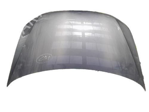 Hood VW POLO V (6R1, 6C1) 1.2 TDI | BP29786308C1 