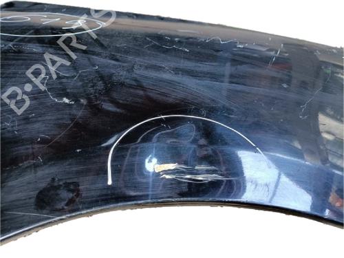 Left front fenders KIA PICANTO I (SA) 1.1 CRDi | BP29786417C41