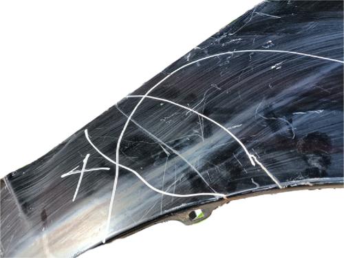 Left front fenders KIA PICANTO I (SA) 1.1 CRDi | BP29786417C41