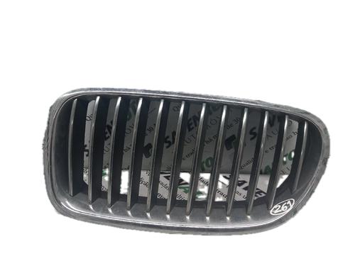 Used Grille BMW 5 (F10) 520 d (190 hp) 29788185
