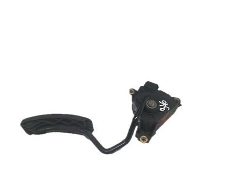Pedal RENAULT CLIO III (BR0/1, CR0/1) 1.5 dCi | BP29789213I4