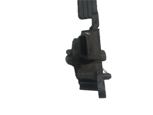 Pedal RENAULT CLIO III (BR0/1, CR0/1) 1.5 dCi | BP29789213I4