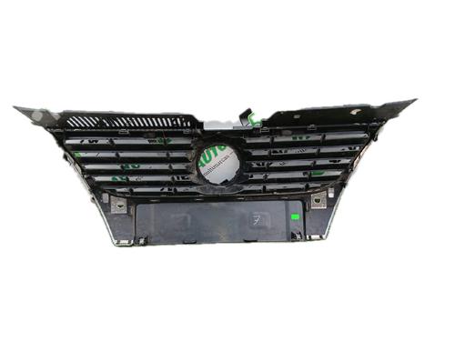 Grill VW PASSAT B6 (3C2) 1.6 TDI | BP29789221C40 