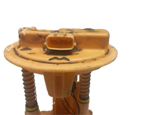 Fuel pump RENAULT CLIO III (BR0/1, CR0/1) 1.5 dCi | BP29790209M76