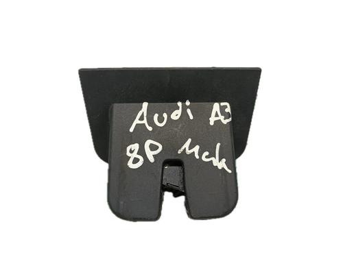 Tailgate lock AUDI A3 (8P1) 1.6 TDI | BP29793536C101 