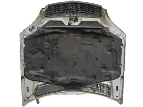 Pokrywa przednia / Maska silnika MERCEDES-BENZ S-CLASS (W220, V220) S 320 CDI (220.026, 220.126) | BP30003923C1