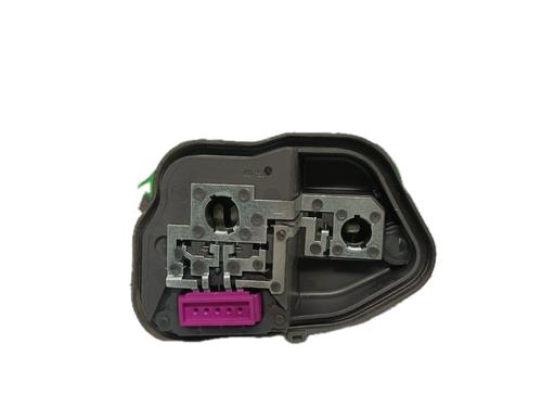 Lampeholder RENAULT MEGANE III Hatchback (BZ0/1_, B3_) 1.5 dCi (106 hp) 29796692