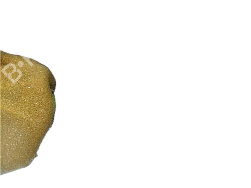 Interior roof light FIAT TIPO Hatchback (356_, 357_) 1.3 D (356HXH1A) | BP29797204I8