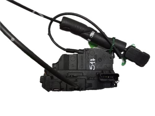 Used Rear left lock RENAULT SCÉNIC III (JZ0/1_) 1.5 dCi (110 hp) 29798437