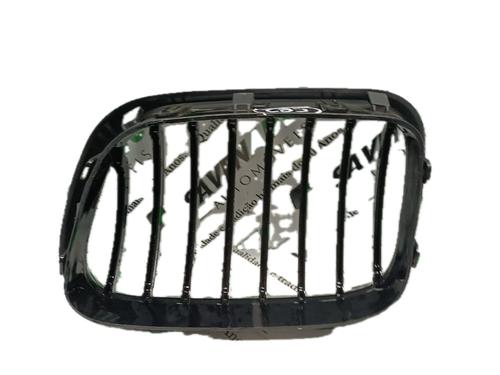 Grill BMW X5 (E53) 3.0 d | BP29800323C40 