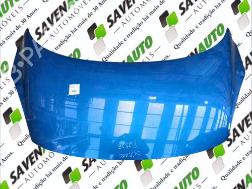 Used Hood RENAULT GRAND SCÉNIC III (JZ0/1_) 1.5 dCi (JZ0B, JZ07) (106 hp) 29800388