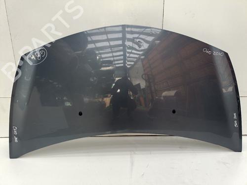 Used Hood RENAULT CLIO III (BR0/1, CR0/1) 1.5 dCi (64 hp) 29804504