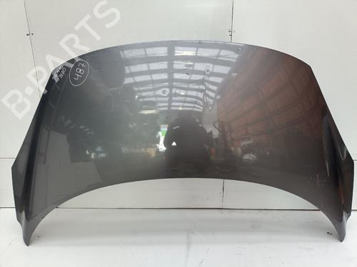 Used Hood RENAULT SCÉNIC III (JZ0/1_) 1.5 dCi (110 hp) 29804506