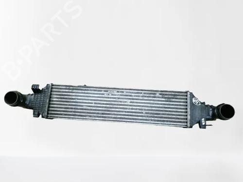 Used Intercooler Intercooler MERCEDES-BENZ E-CLASS (W212) E 220 CDI (163 hp) 32480649 32480649