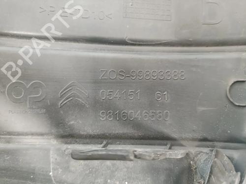 Grill CITROËN C-ELYSEE (DD_) 1.6 HDI 92 | BP33944148C40 - Image 3