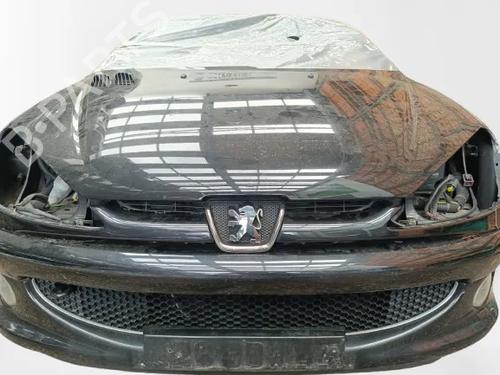 grille-peugeot-206-cc-2d-2000-2001-2002-2003-2004-2005-2006-2007-2008-34188076 main image