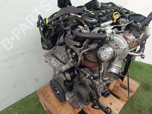 Engine OPEL ASTRA K (B16) 1.6 CDTi (68) | BP39383252M1 - Image 4