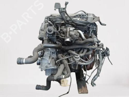 Used Engine Engine AUDI A5 (8T3) 2.0 TDI (170 hp) 39383256 39383256