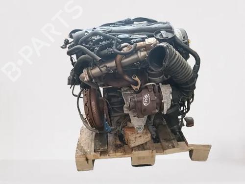 Engine AUDI A5 (8T3) 2.0 TDI | BP39383256M1 - Image 3