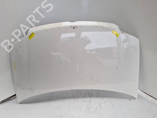 Used Hood FIAT PANDA (169_) 1.3 D Multijet (169.AXC1A) (70 hp) 7995409