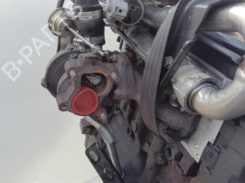 Engine RENAULT MEGANE II (BM0/1_, CM0/1_) 1.5 dCi (BM0F, BM0T, BM2B, CM0F, CM0T) | BP28590559M1 
