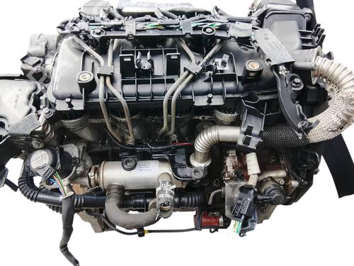 Engine FORD FOCUS II (DA_, HCP, DP) | BP40295168M1 - Image 8