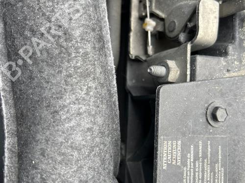 Used Water radiator RENAULT CLIO III (BR0/1, CR0/1) 1.5 dCi (C/BR0G, C/BR1G) (68 hp) 27339607