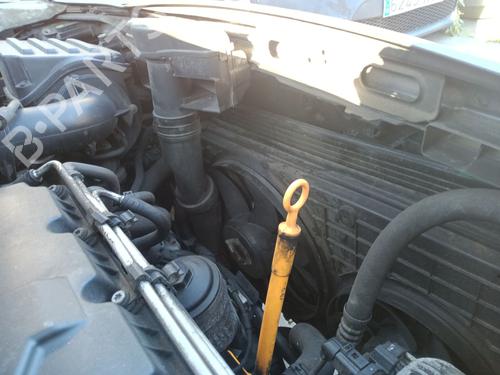 Used Radiator fan VW CADDY III Box Body/MPV (2KA, 2KH, 2CA, 2CH) [2004-2016]  29275692