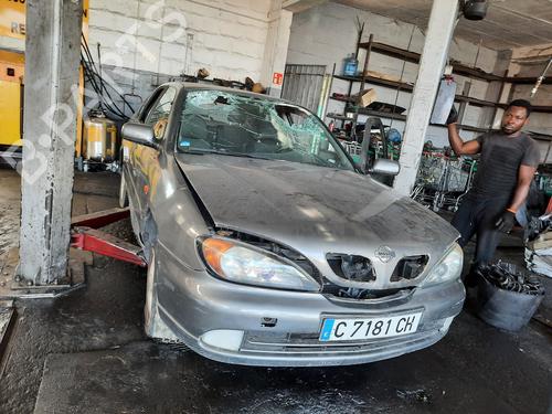 Brugte NISSAN PRIMERA Hatchback (P10)  2.0 D  1765598