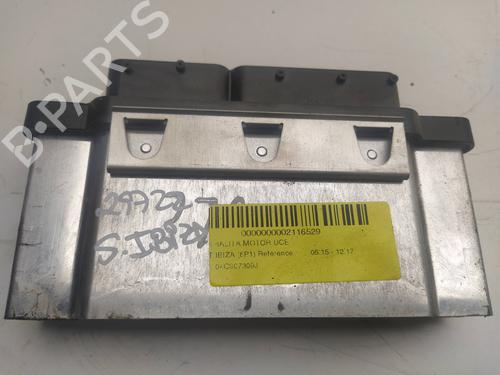 Used Engine control unit (ECU) SEAT IBIZA IV (6J5, 6P1) 1.0 (75 hp) 10227273