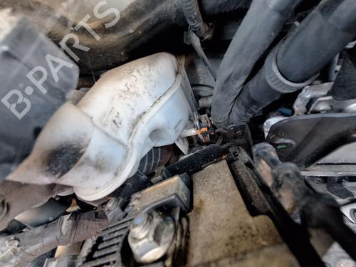 Bremseservo Bremseservo KIA CEE'D (JD) [2012-2018] 37447636 37447636