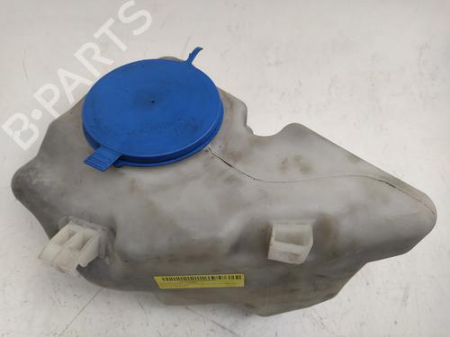 Expansion tank MERCEDES-BENZ A-CLASS (W169) A 180 CDI (169.007, 169.307) | BP16419499C120 