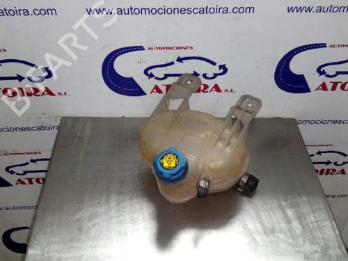 Used Expansion tank FIAT PUNTO EVO (199_) 1.3 D Multijet (199AXC1A, 199BXC1A, 199AXT1A, 199BXT1A) (75 hp) 1616745