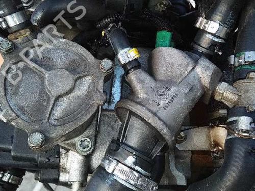 Engine FIAT PUNTO (188_) 1.9 DS 60 (188.031, .051, .231, .251) | BP3126928M1 