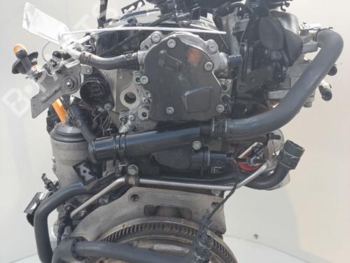 Full front SEAT LEON (1P1)  | BP28359565S1 