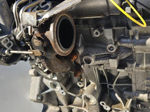 Engine VW POLO V (6R1, 6C1)  | BP19302448M1 