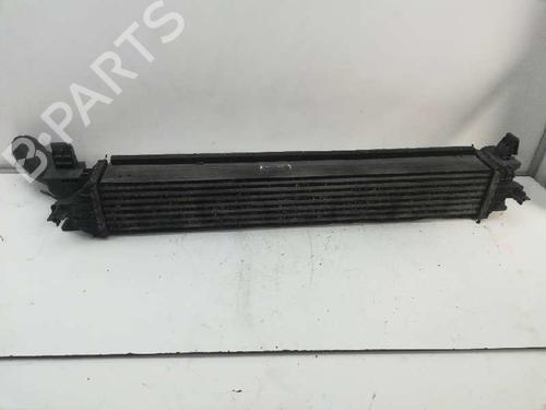 Intercooler FIAT DUCATO Bus (250_)  | BP5320035M30 