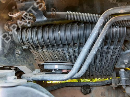 BP10155001M31 main image