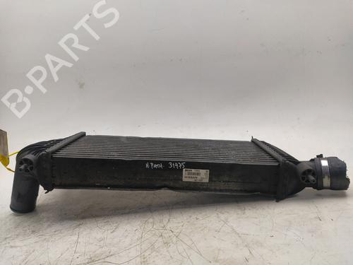 Intercooler NISSAN PATHFINDER III (R51)  | BP17554264M30 