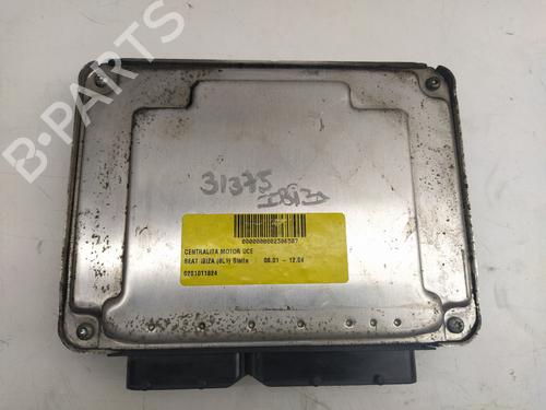 Used Engine control unit (ECU) SEAT IBIZA III (6L1) [2002-2009]  16029046