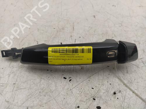 BP12582456C130 | Maniglia esterna posteriore destra AUDI A3 Sportback (8VA, 8VF)  BP12582456C130