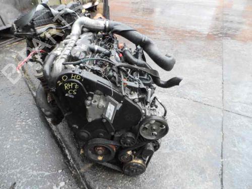 - Image 7
